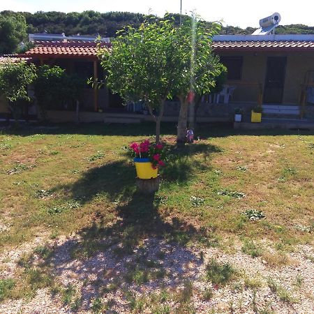 Farma Giannis Διαμέρισμα Σάρτη Εξωτερικό φωτογραφία