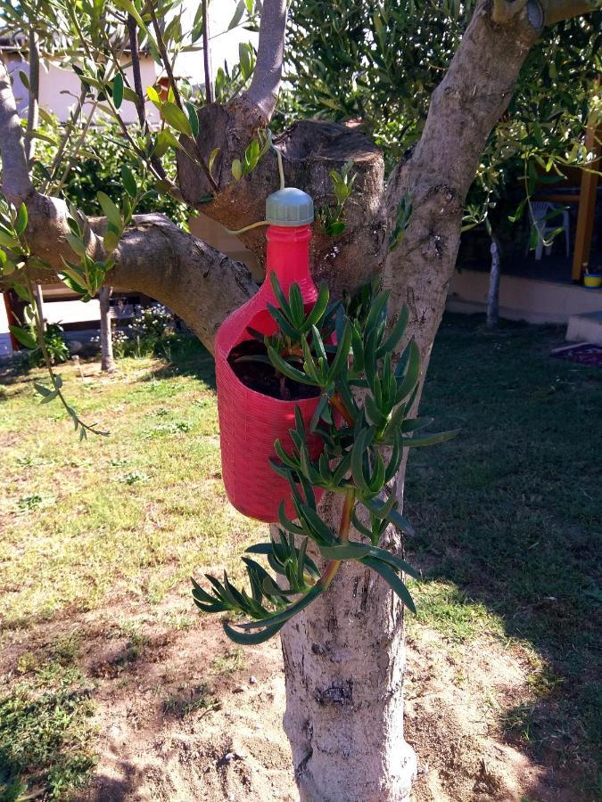 Farma Giannis Διαμέρισμα Σάρτη Εξωτερικό φωτογραφία