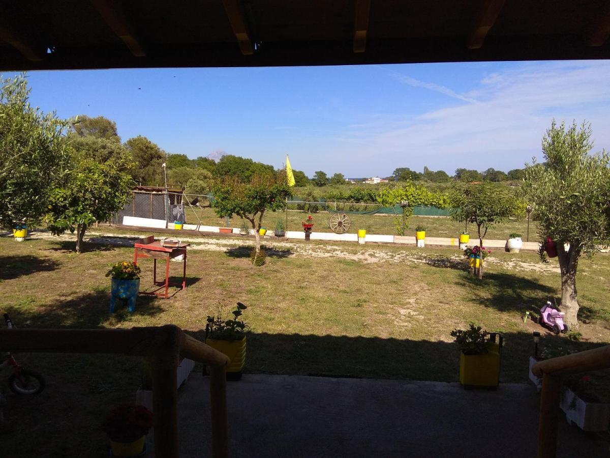 Farma Giannis Διαμέρισμα Σάρτη Εξωτερικό φωτογραφία