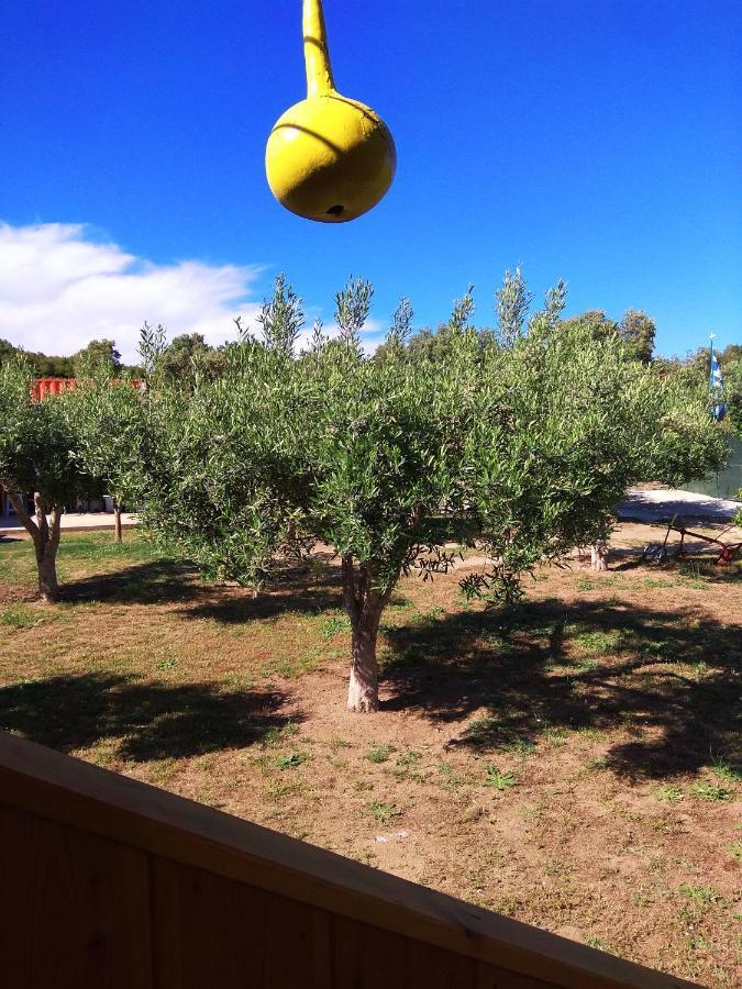 Farma Giannis Διαμέρισμα Σάρτη Εξωτερικό φωτογραφία