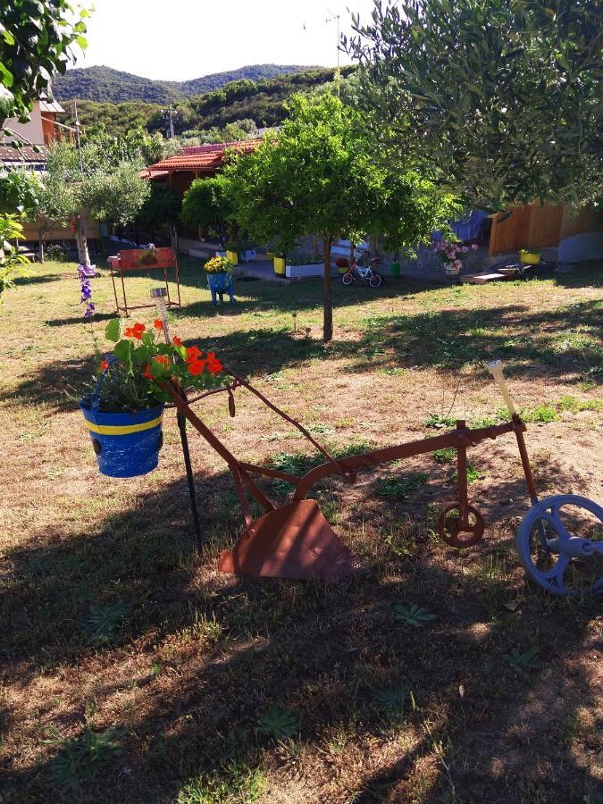 Farma Giannis Διαμέρισμα Σάρτη Εξωτερικό φωτογραφία